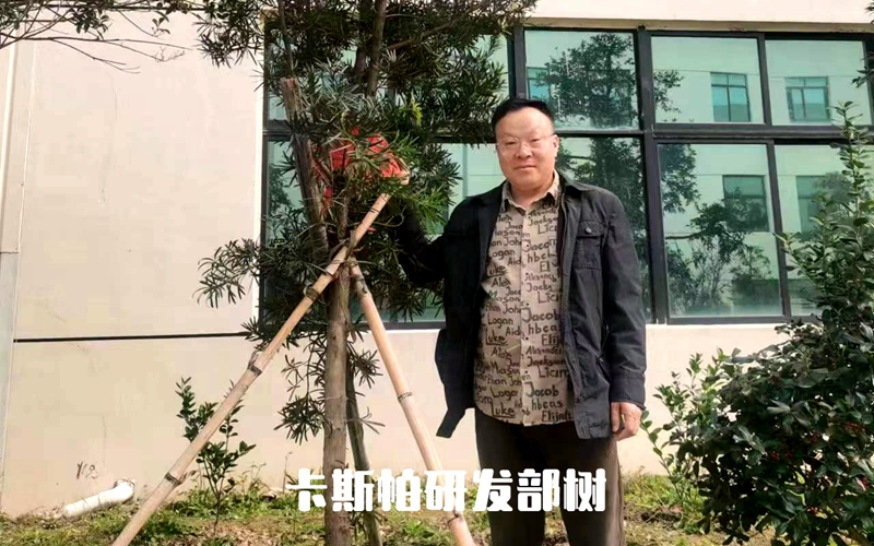 7卡斯帕研發(fā)部樹.jpg