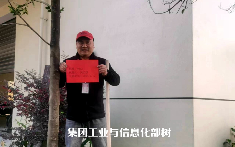3集團(tuán)信息部樹.jpg